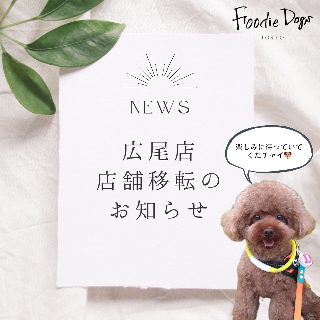 【重大発表!Foodie Dogs TOKYO 広尾店、 2023年12月下旬に店舗移転】