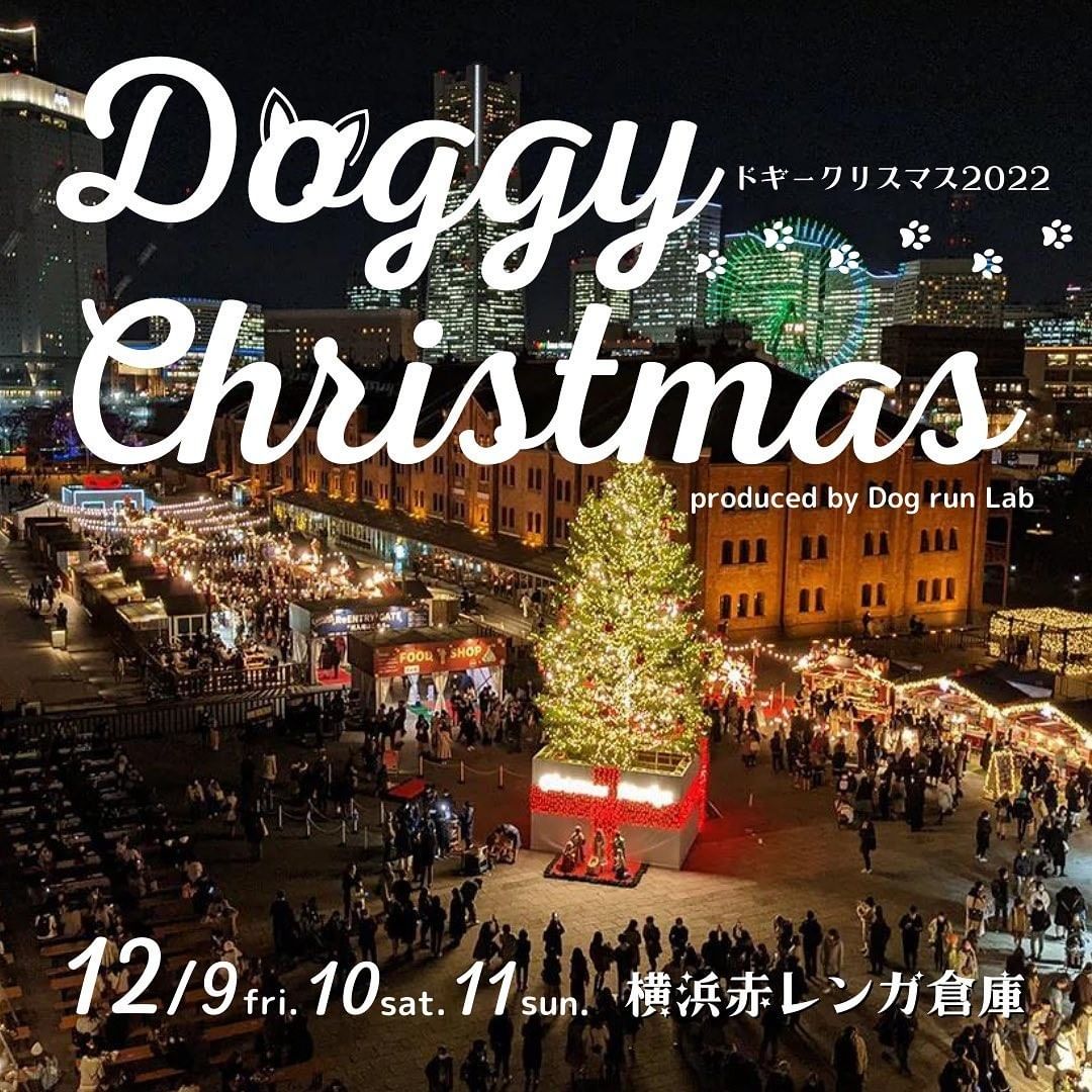 【イベント出店情報】12月9日(金)は「ドギークリスマス2022」に出店します