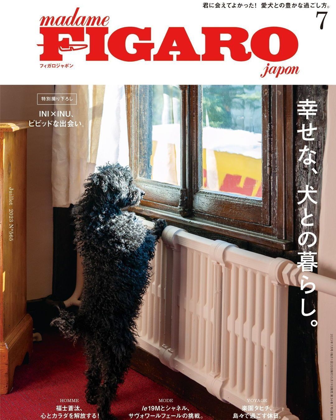 Foodie Dogs TOKYO 登上了《FIGARO japon》！