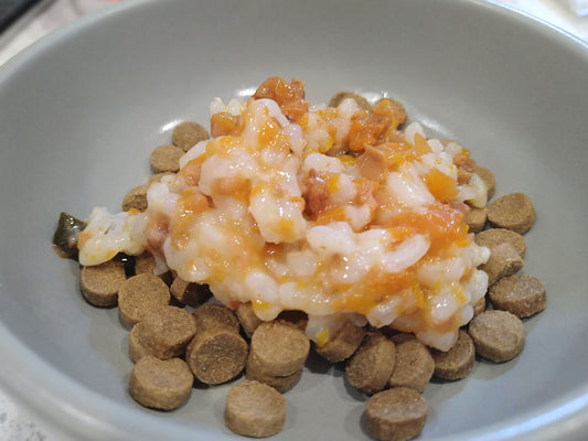 【愛犬へ手作りご飯】レトルトのおかずを使った簡単手作りご飯レシピをご紹介