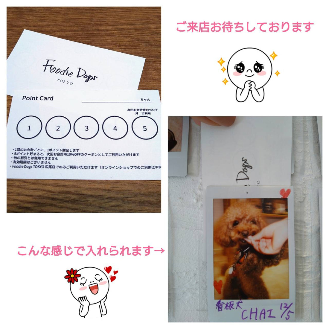 広尾店限定!本日よりお得なポイントカードを導入します