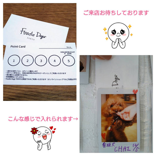 広尾店限定!本日よりお得なポイントカードを導入します