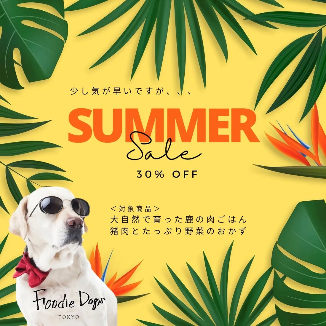 Summer Sale 30%offを開始しました!