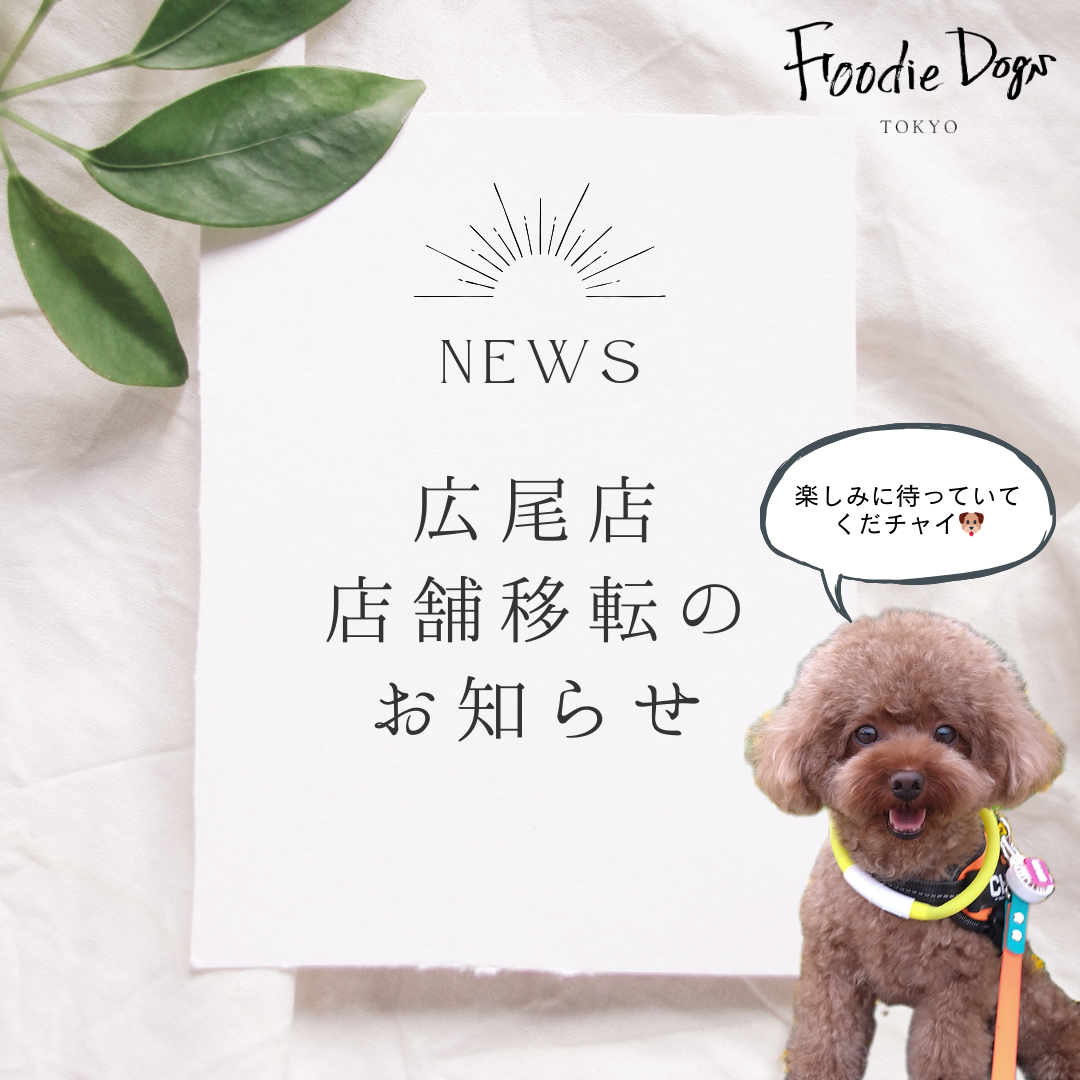 【重大発表！Foodie Dogs TOKYO 広尾店、 2023年12月下旬に店舗移転】