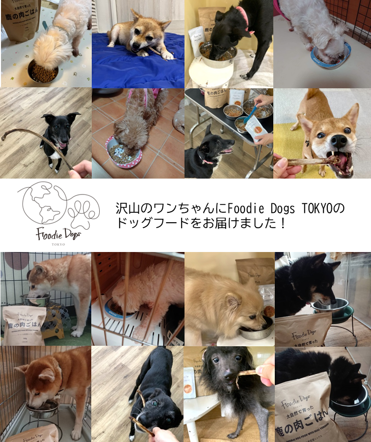 Foodie Dogs TOKYOのドッグフード約1,500袋を動物愛護関連団体に寄付