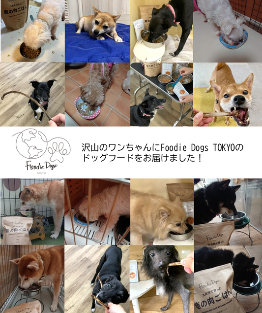 Foodie Dogs TOKYOのドッグフード約1,500袋を動物愛護関連団体に寄付