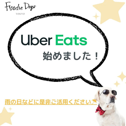 デリバリーサービス始めました！【Uber Eats ＆ Wolt】